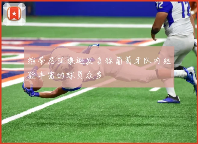 维蒂尼亚谦逊发言称葡萄牙队内经验丰富的球员众多