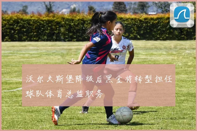 沃尔夫斯堡降级后黑金将转型担任球队体育总监职务