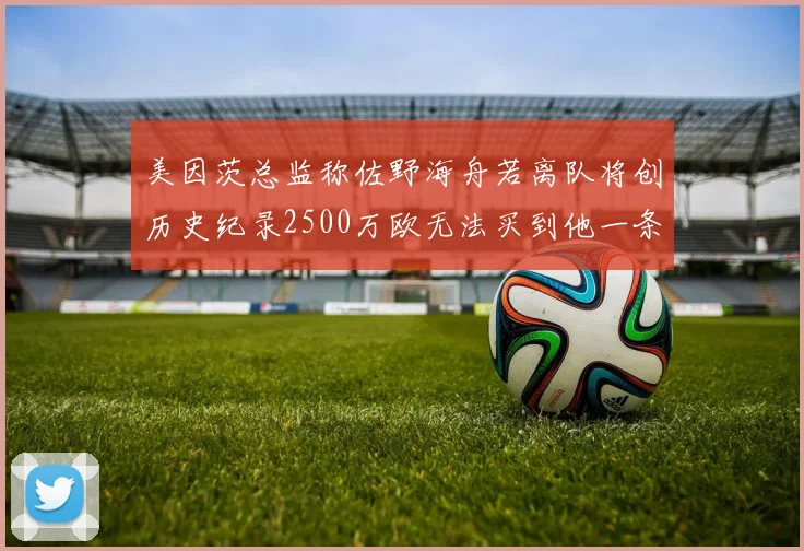 美因茨总监称佐野海舟若离队将创历史纪录2500万欧无法买到他一条腿