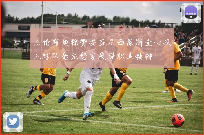 杰伦布朗称赞安芬尼西蒙斯全心投入球队毫无怨言展现职业精神