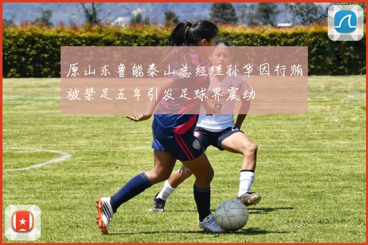 原山东鲁能泰山总经理孙华因行贿被禁足五年引发足球界震动