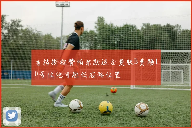 吉格斯称赞帕尔默适合曼联B费踢10号位他可胜任右路位置