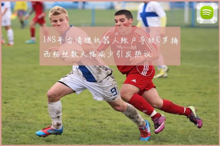 INS平台清理机器人账户导致C罗梅西粉丝数大幅减少引发热议