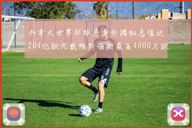 加拿大世界杯球员身价揭秘总值达204亿欧元戴维斯领衔最高4000万欧